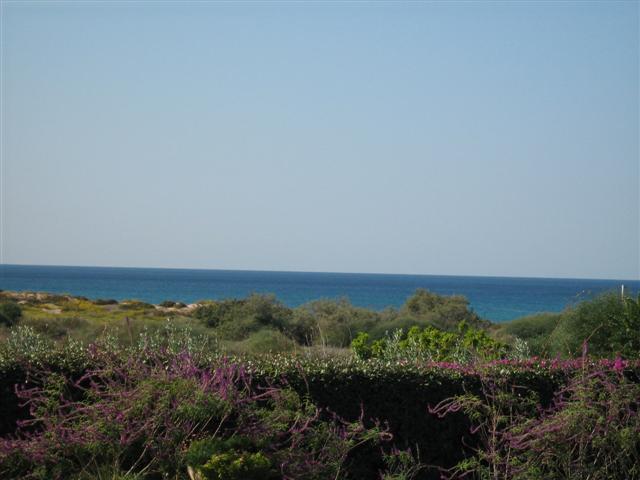 villa for rent in caesarea